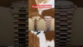 Желтое или розово-золотое дневное свидание 🥈🥇?
