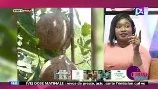 Dose Matinal/Santé & Bien être :focus sur les les vertus et dangers de ce fruit nommé « Touloucouna
