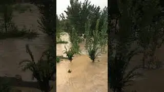 USA Flood #flood #floodvideo #floodalert #flood #usaflood #shortfeed #shorts #viral #trending #sea .