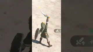 Want to deal double damage on TotK?