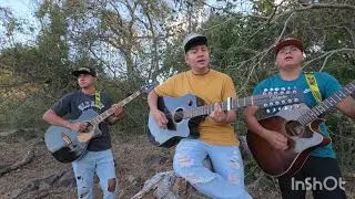 LOS PLEBES ATREVIDOS SI ME SUEÑAS 🎵