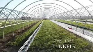 Oval tube tunnels / polytunnels in Nottinghamshire