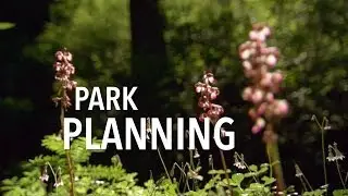 Park Planning (Part 3)