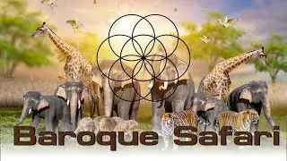 Baroque Safari - Study Music, Music to Retain Your Attention Span and Improve Your Memory