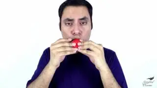 Ocarina Cover: 