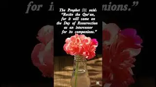 The Qur&rsquo;an as an Intercessor