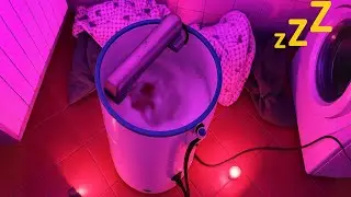 Washing Machine Sleep Sound - White Noise | Black Screen