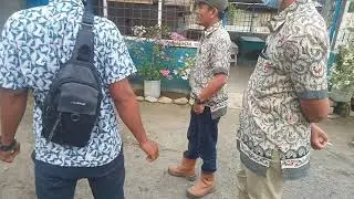 tindak lanjut serangan ulat api