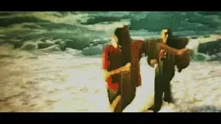 The Gentleman Losers - The Good Bird Singin' in the Twilight Tree (Official Video)