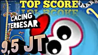 WORMZONE.IO - CACING BESAR ALASKA TOP SCORE 9,5 JT