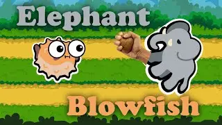 The Elephant Blowfish has STILL got It!