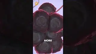 How to properly dose Epithalon
