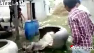 Смех и только