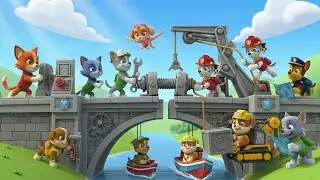 Cat Pack & Paw Patrol Save The Day! | Cartoon for Kids | 3D Rescue Adventure
