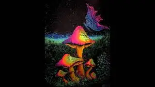 Fungus Funk   Sangoma Records RadiOzora 2022