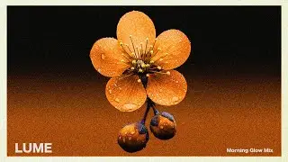 Morning Glow Mix  | Chill House for Deep Focus