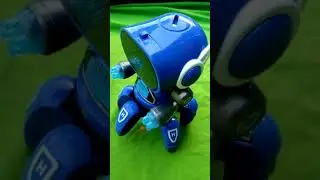 Amazing Toys Remote Control Robot |Dancing Robot Toys for Boys and Girls  Multi Color Multi Design |