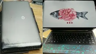 Laptop STICKERS in a BUDGET | In BANGLA | পুরাতন ল্যাপটপকে করে তুলুন আরো আকর্ষণীয় #lowprice