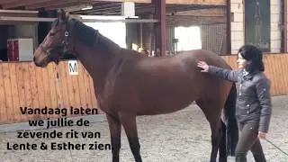 Lente voorjaar 2020 versie 4