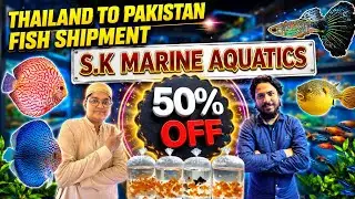 BIGGEST Thailand Fish Shipment 2026! 🇹🇭✈️🇵🇰 50% OFF Loot Lo Sale at S.K Marine Aquatics Karachi