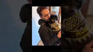 UDINE: LANCIA IL CAGNOLINO NEL VUOTO PERCHÉ SI AVVICINA ALLA FIGLIA