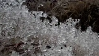 Гололед. Обледеневшая трава/Ice-crusted ground. Icy grass