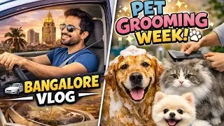 Bangalore Vlog 🏙️ | Pet Grooming Week 🐶✨