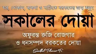 সকালটা শুরু হোক হৃদয় শীতল করা বরকতময় আয়াত দিয়ে। সকালের দোয়া ও জিকির। Morning Dua Full by Alaa Aqel
