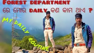 My daily job life routine in Forest department #osssc #odishaforest #forestdepartment #dailyvlog