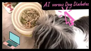 Can AI Help a Diabetic Dog? Creating the Perfect Recipe!