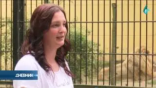 Baka usvojila lava iz zoo vrta na Paliću kao poklon unuku za rođendan