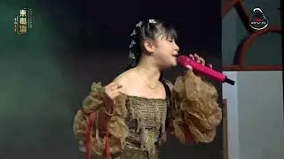 Hong Jia Le - 爱拼拼到底