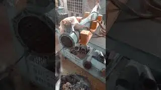 Cleaning an Oil Cooler | Heat Exchanger | Buhay OFW | Sewage Treatment Plant #shorts