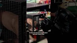 The Truth About Rocky&rsquo;s Dog
