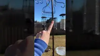 Talk about the ultimate bird feeding station! #gardendecor #birdfeeder #birdwatching #birdwatcher