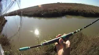 Lost lure to the weed bank