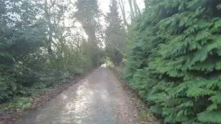A Ramble Along the Entire Burke Gilman Trail, 2024