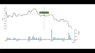 $NAMM 2025-07-30