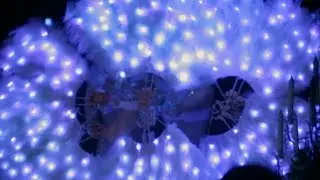 АРХИВ: Exotic Art шоу на свадьбе 25.11.18