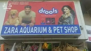 Zara Aquarium&Pet Shop | Pet Shop Gujarat | Pet Shop In Rajkot |Fish Shop Rajkot | Fish Shop Gujarat
