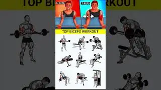 No equipment arm workout !! Biceps Workout Without Equipment !! No Equipment Workout !! #shortsfeed💪