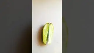 amazing fruit cutting skill 💕 fruit carving #shorts #trendingshorts #funny #comedy
