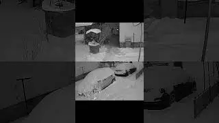 Clean Yard After Snow | Winter Routine &ndash; Final ❄️