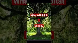 #habitat #ecology #neet #set #csir #biology #science #csirnet #shortvideo #60sec #shorts