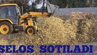 Selos sotiladi 
