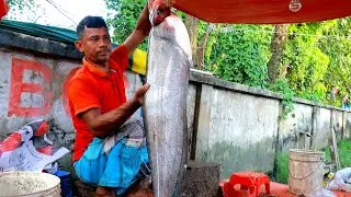 14Kg Big Boal Fish Cutting By Expert Fish Cutter | Fish Cutting Skills