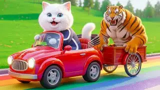 Mama Cat Trims Fur on the Farm and Makes Tiger Hat For Kittens At Home🐾🎩🐯