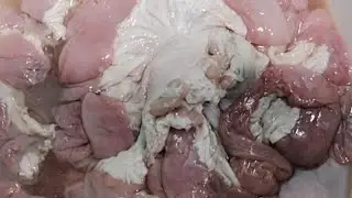 First time to cook exotic food in Philippines | Pork intestine and chicharon bulaklak 