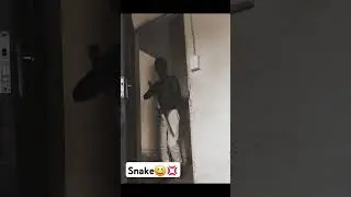 Found a snake in the Cieling 🙆😹🔥🤞 #entertainment #content #funny #youtuber #subscribe #everyone