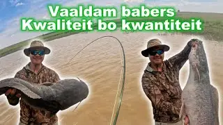 Vaaldam babers - Kwaliteit bo kwantiteit